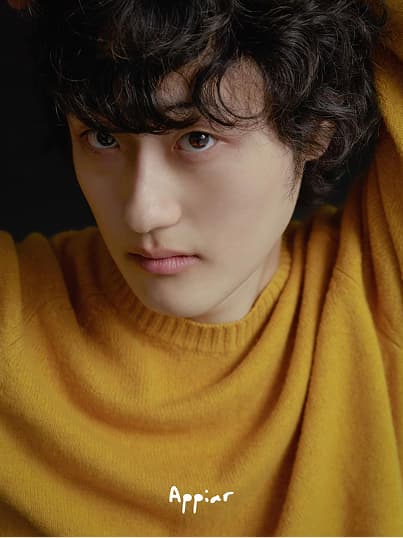 포트레이트어피어