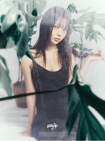 버터플라이하우스