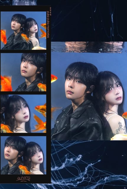 트윈 프로필(auhang)*